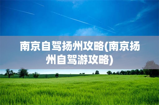 南京自驾扬州攻略(南京扬州自驾游攻略)