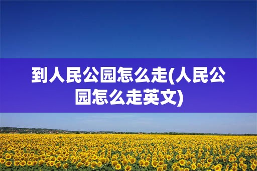 到人民公园怎么走(人民公园怎么走英文)