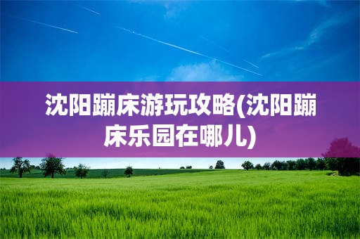 沈阳蹦床游玩攻略(沈阳蹦床乐园在哪儿)