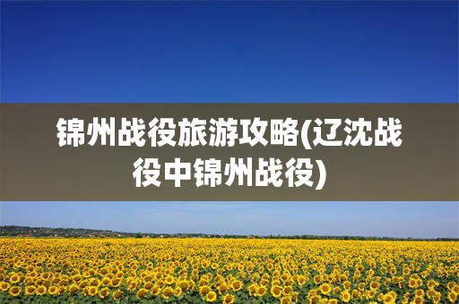 锦州战役旅游攻略(辽沈战役中锦州战役)