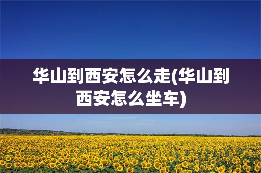 华山到西安怎么走(华山到西安怎么坐车)