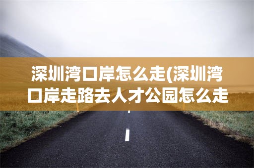 深圳湾口岸怎么走(深圳湾口岸走路去人才公园怎么走)