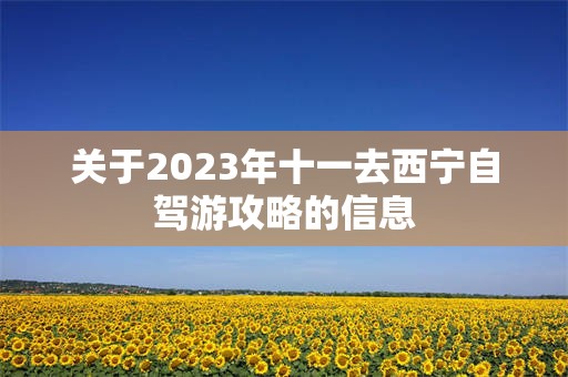 关于2023年十一去西宁自驾游攻略的信息