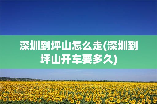 深圳到坪山怎么走(深圳到坪山开车要多久)