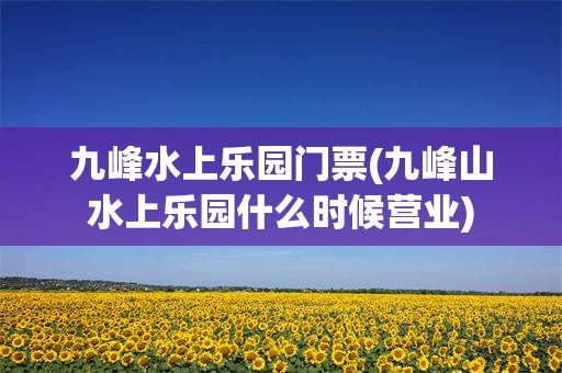 九峰水上乐园门票(九峰山水上乐园什么时候营业)