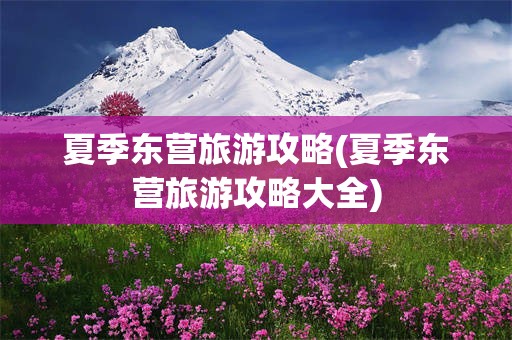 夏季东营旅游攻略(夏季东营旅游攻略大全)