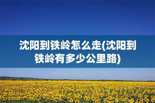 沈阳到铁岭怎么走(沈阳到铁岭有多少公里路)