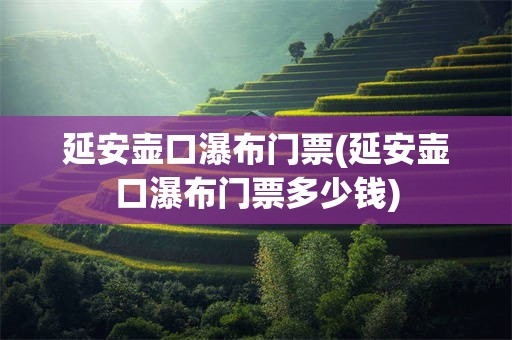 延安壶口瀑布门票(延安壶口瀑布门票多少钱)