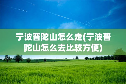 宁波普陀山怎么走(宁波普陀山怎么去比较方便)