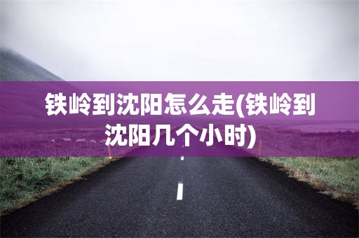 铁岭到沈阳怎么走(铁岭到沈阳几个小时)