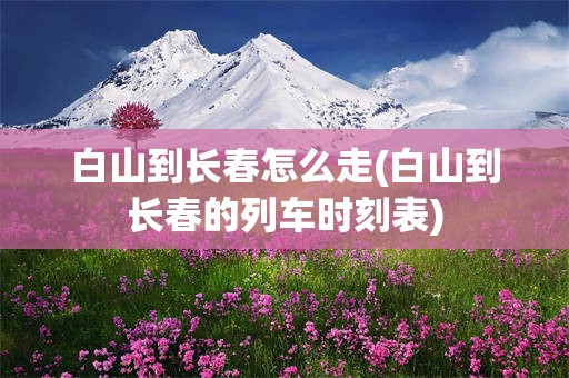 白山到长春怎么走(白山到长春的列车时刻表)