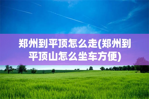 郑州到平顶怎么走(郑州到平顶山怎么坐车方便)