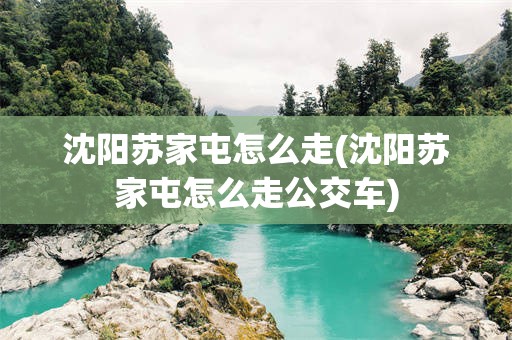 沈阳苏家屯怎么走(沈阳苏家屯怎么走公交车)