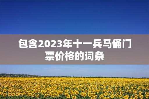 包含2023年十一兵马俑门票价格的词条