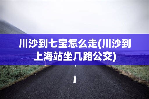 川沙到七宝怎么走(川沙到上海站坐几路公交)