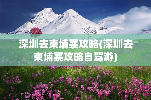 深圳去柬埔寨攻略(深圳去柬埔寨攻略自驾游)