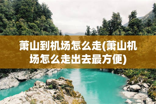 萧山到机场怎么走(萧山机场怎么走出去最方便)