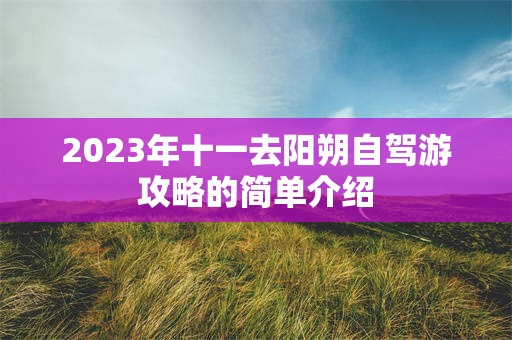 2023年十一去阳朔自驾游攻略的简单介绍