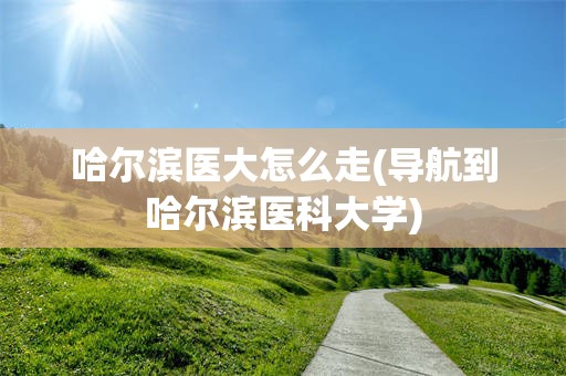 哈尔滨医大怎么走(导航到哈尔滨医科大学)