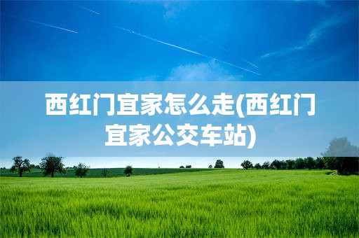 西红门宜家怎么走(西红门宜家公交车站)