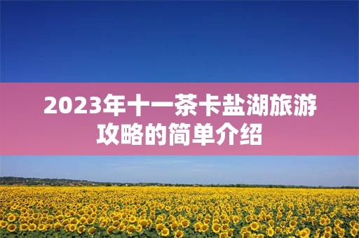 2023年十一茶卡盐湖旅游攻略的简单介绍