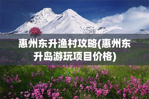 惠州东升渔村攻略(惠州东升岛游玩项目价格)