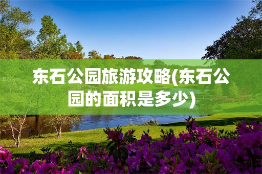 东石公园旅游攻略(东石公园的面积是多少)