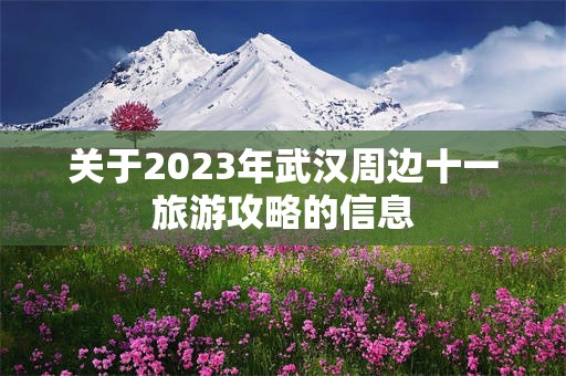 关于2023年武汉周边十一旅游攻略的信息