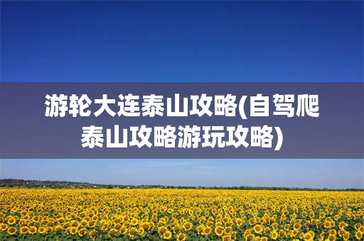 游轮大连泰山攻略(自驾爬泰山攻略游玩攻略)