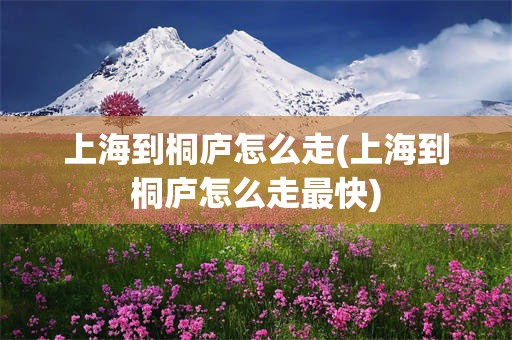 上海到桐庐怎么走(上海到桐庐怎么走最快)