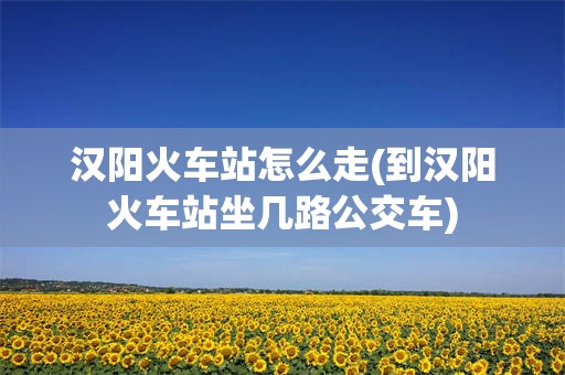 汉阳火车站怎么走(到汉阳火车站坐几路公交车)