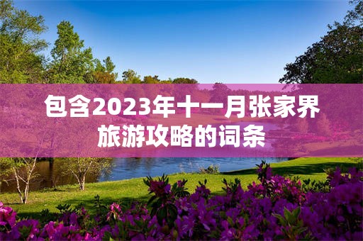 包含2023年十一月张家界旅游攻略的词条