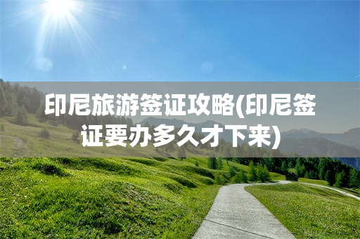 印尼旅游签证攻略(印尼签证要办多久才下来)