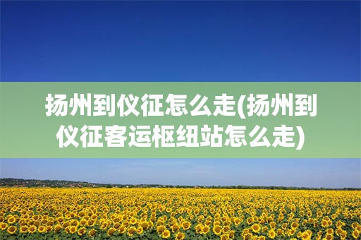 扬州到仪征怎么走(扬州到仪征客运枢纽站怎么走)