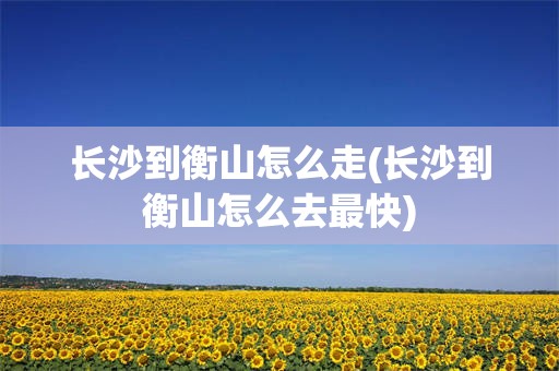 长沙到衡山怎么走(长沙到衡山怎么去最快)