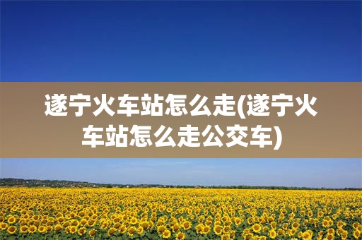 遂宁火车站怎么走(遂宁火车站怎么走公交车)