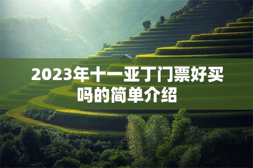 2023年十一亚丁门票好买吗的简单介绍