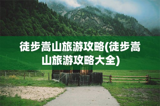 徒步嵩山旅游攻略(徒步嵩山旅游攻略大全)