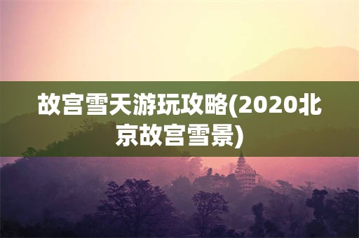 故宫雪天游玩攻略(2020北京故宫雪景)