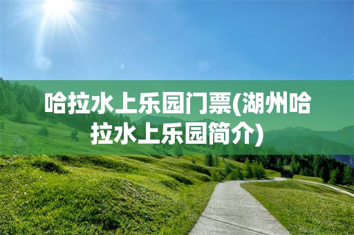 哈拉水上乐园门票(湖州哈拉水上乐园简介)