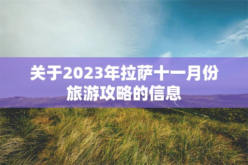 关于2023年拉萨十一月份旅游攻略的信息