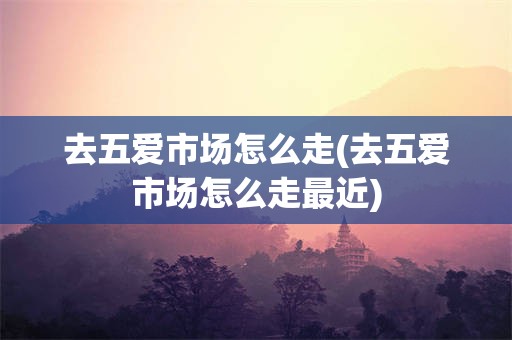 去五爱市场怎么走(去五爱市场怎么走最近)