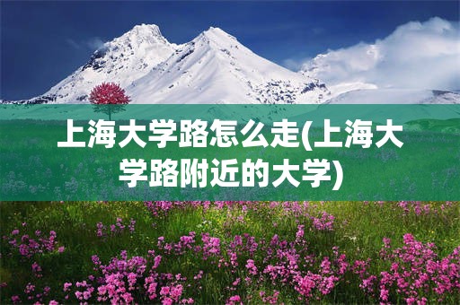 上海大学路怎么走(上海大学路附近的大学)