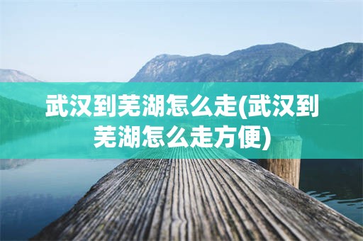武汉到芜湖怎么走(武汉到芜湖怎么走方便)