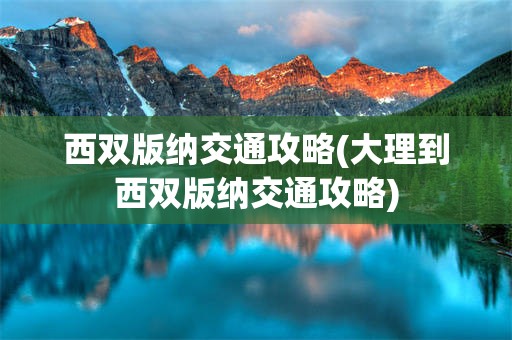 西双版纳交通攻略(大理到西双版纳交通攻略)