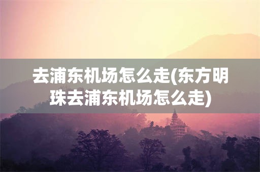 去浦东机场怎么走(东方明珠去浦东机场怎么走)