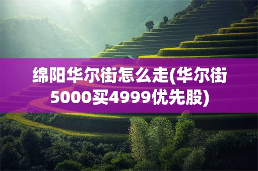 绵阳华尔街怎么走(华尔街5000买4999优先股)