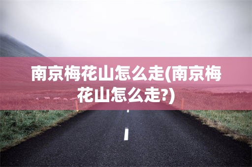 南京梅花山怎么走(南京梅花山怎么走?)