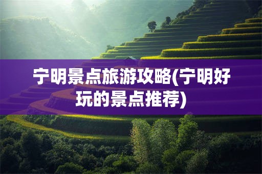 宁明景点旅游攻略(宁明好玩的景点推荐)