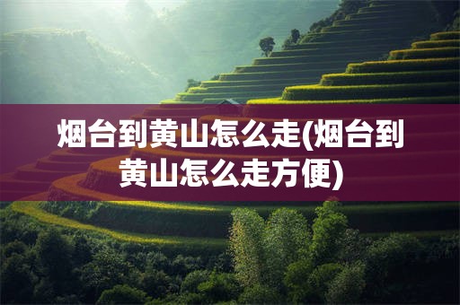 烟台到黄山怎么走(烟台到黄山怎么走方便)